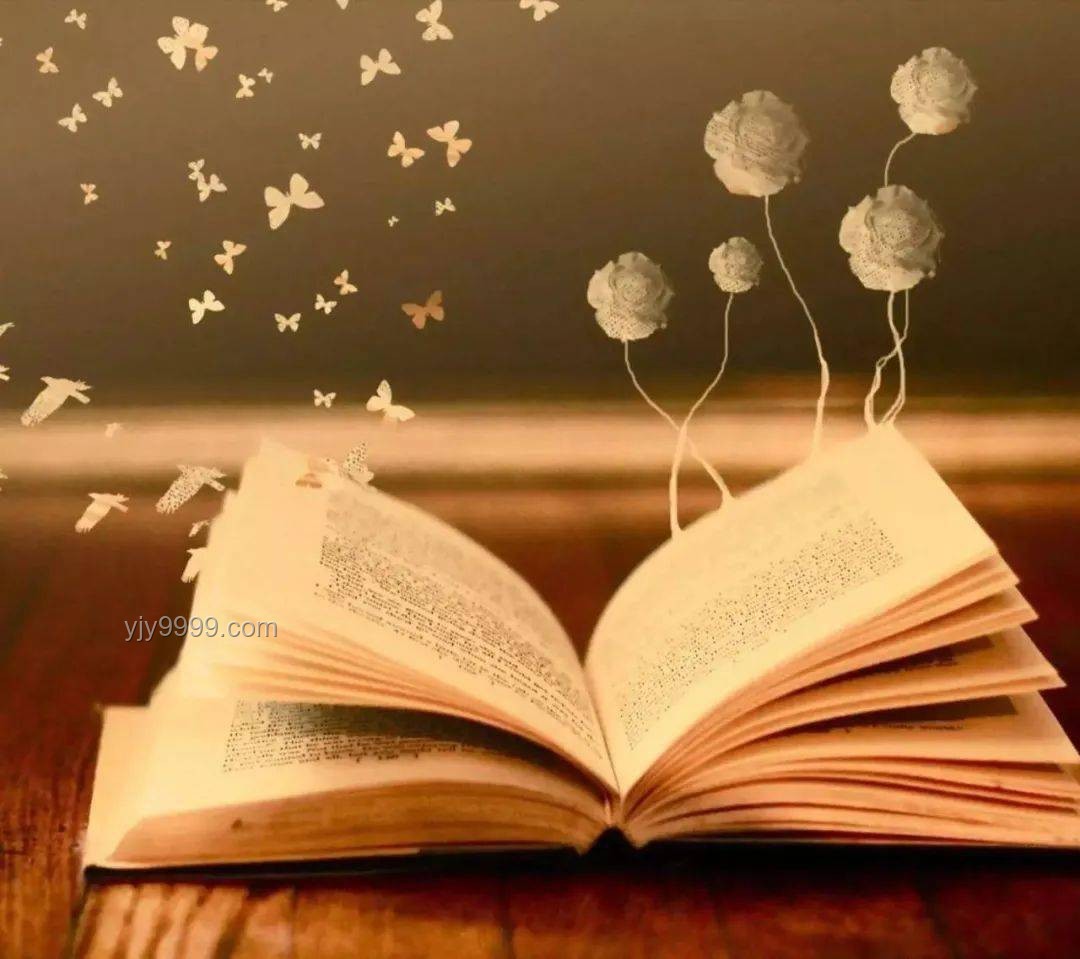 《人生若如初见》大结局：创新视角下的多维解读✨,脑洞,深度剖析,情感共鸣